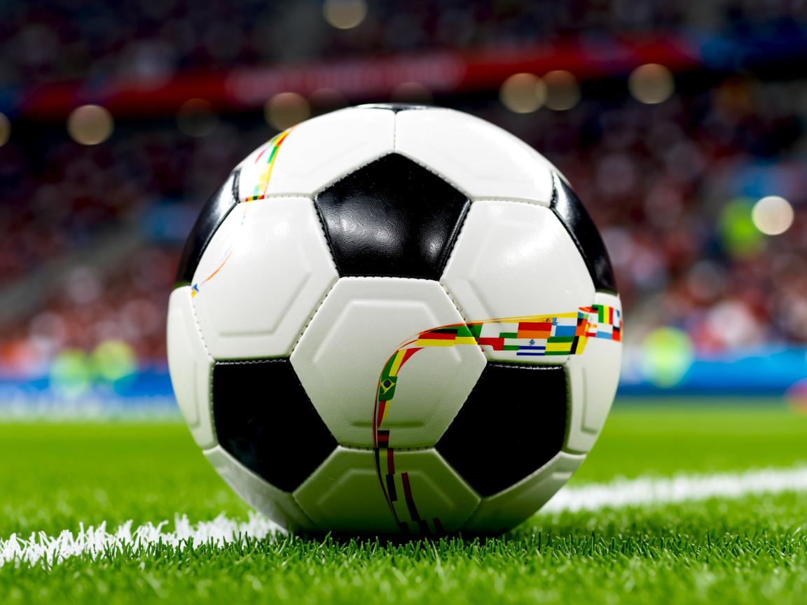 真人足球官网-广东队保持进攻节奏依靠团队默契拉开比分，广东队比赛赛程表2021